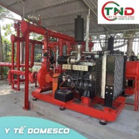 ytadomesco1735300x300-2007.jpg