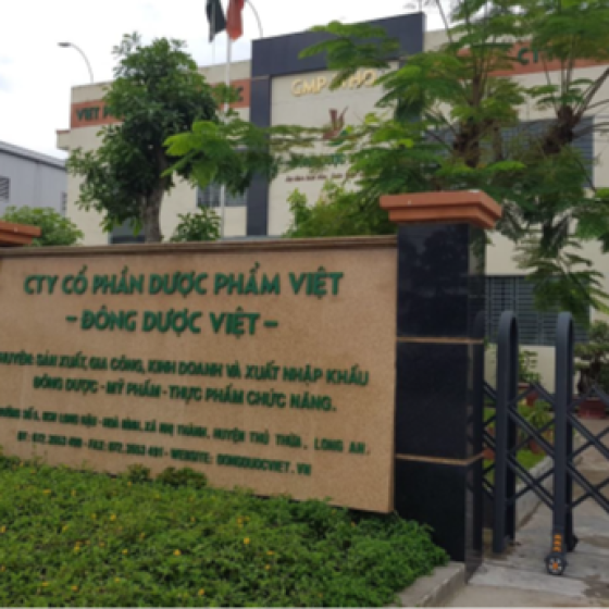 CÔNG TY CP ĐÔNG DƯỢC VIỆT