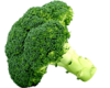 bongcai-4189.png